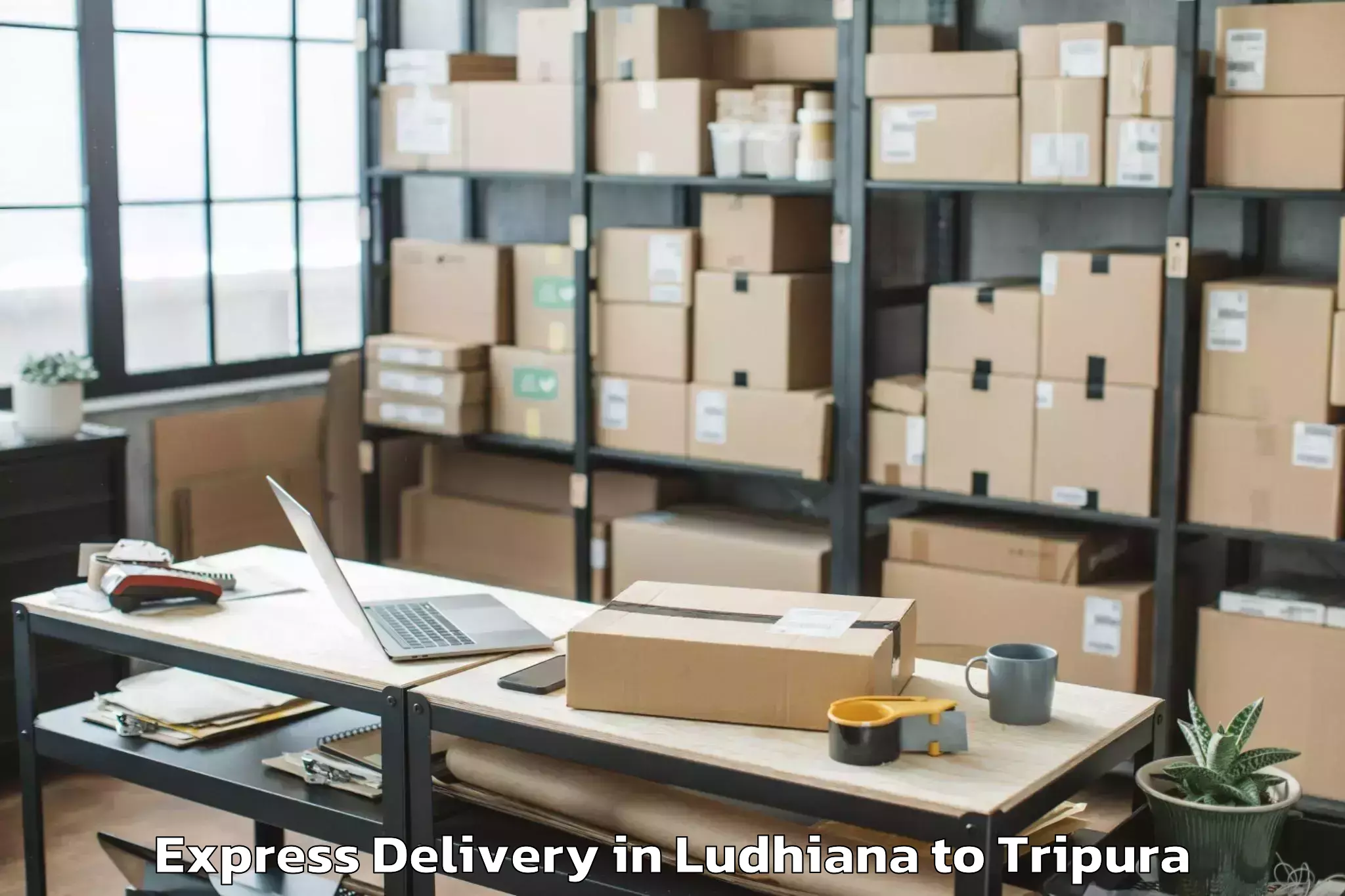 Book Ludhiana to Hezamara Express Delivery